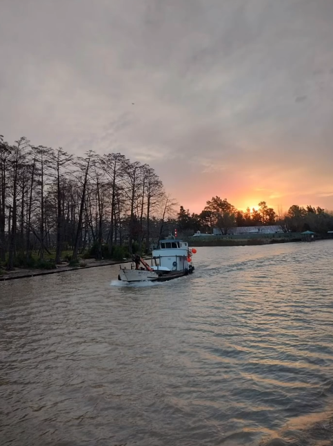 FORTUNATA de GB Delta Servicios trabajando al atardecer